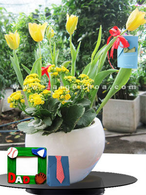 Hoa Sống Đời Ngày Của Cha