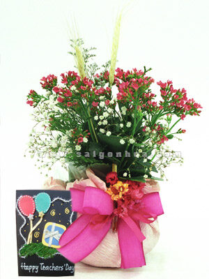 Hoa Sống Đời Tặng Thầy Cô