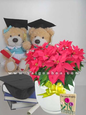 Hoa Trạng Nguyên Chúc Mừng