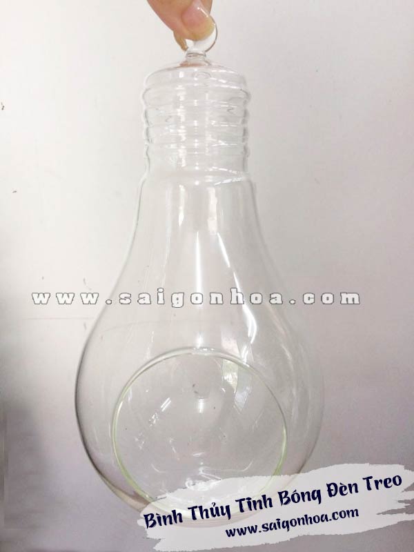 Bình Thủy Tinh Bóng Đèn Treo