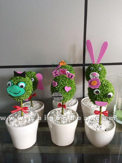 cay may man con thu cac loai