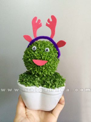 Cây May Mắn Con Tuần Lộc