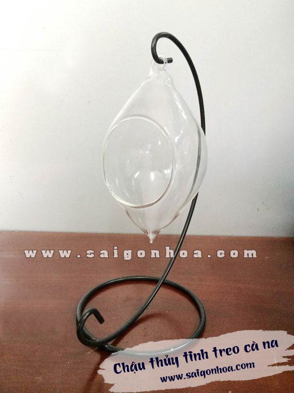 Chậu thủy tinh treo cà na