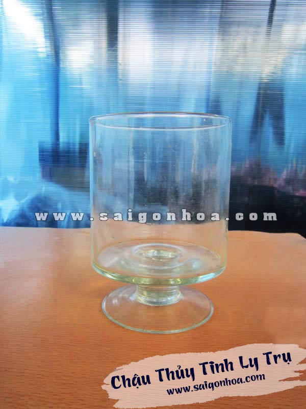 Chậu Thủy Tinh Ly Trụ