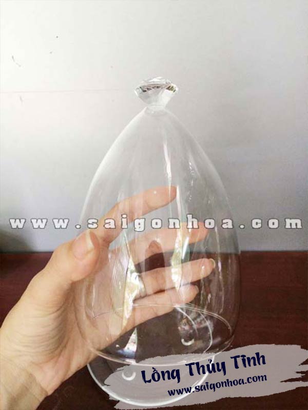 Lồng Thủy Tinh
