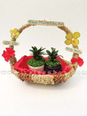 Giỏ Cây May Mắn Tài Lộc Chúc Mừng Năm Mới