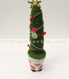 cay-may-man-cay-thong-noel-loai-lon-4