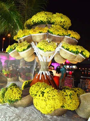 Thúng Cúc Mâm Xôi