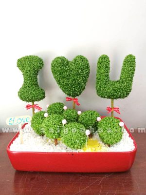 Tiểu Cảnh May Mắn Con Đường Tình Yêu