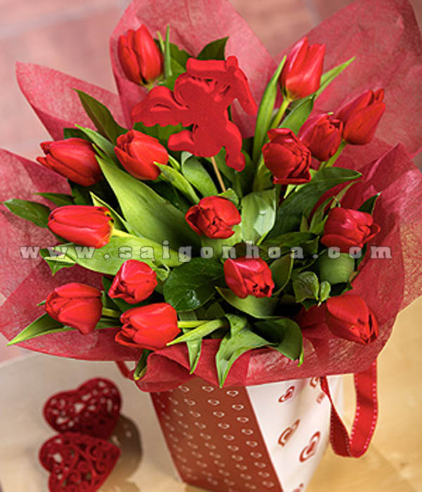 Hoa Tulip Tang Nguoi Yeu