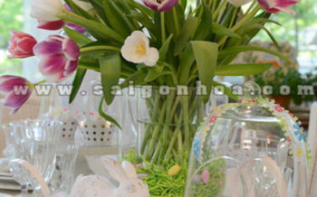 Hoa Tulip Trang Tri Ban An 1
