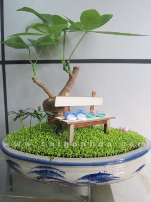 Tiểu Cảnh May Mắn Kim Ngân Ghế Đá