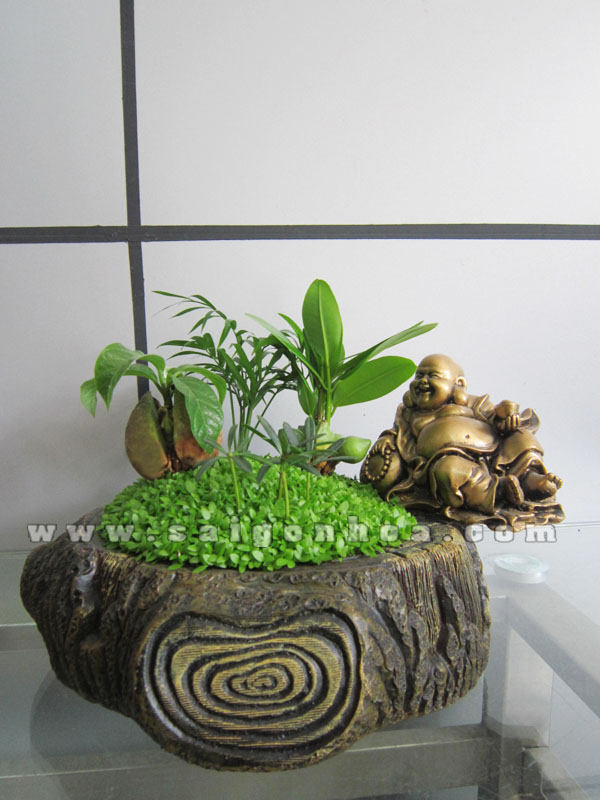 tieu canh may man tai loc goc cay 10