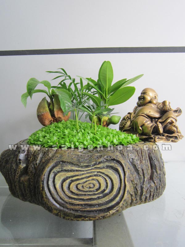 tieu canh may man tai loc goc cay 2