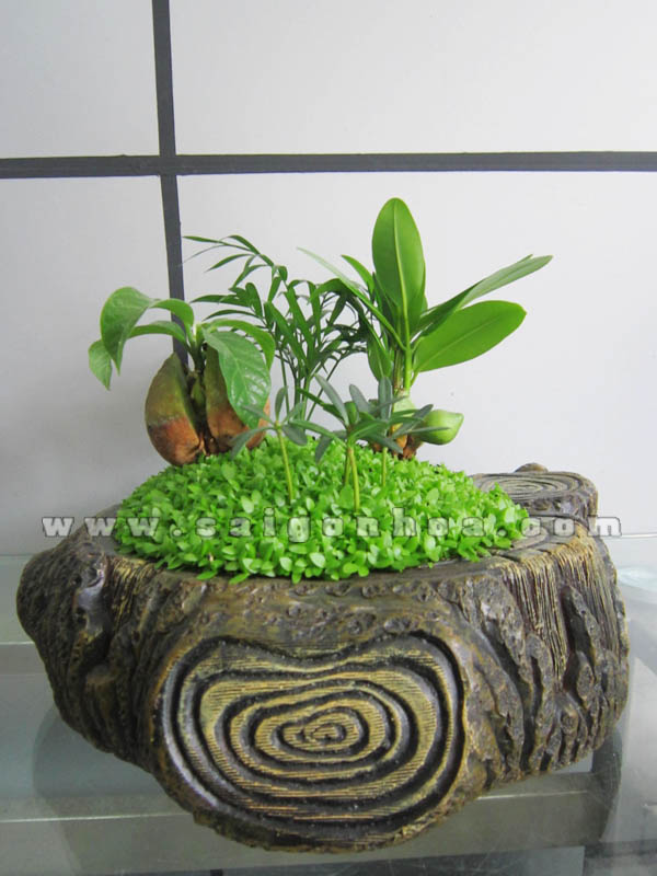 tieu canh may man tai loc goc cay