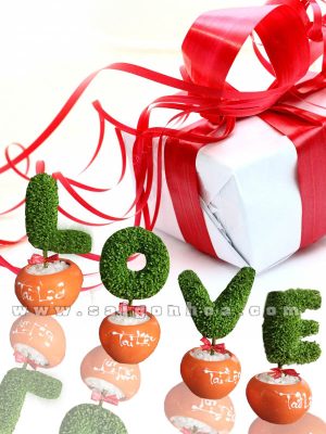 Bộ Cây May Mắn LOVE Ngày Lễ Tình Nhân 14/2