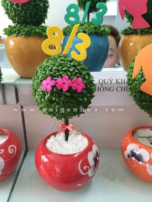 Cây May Mắn Quà Tặng 8-3