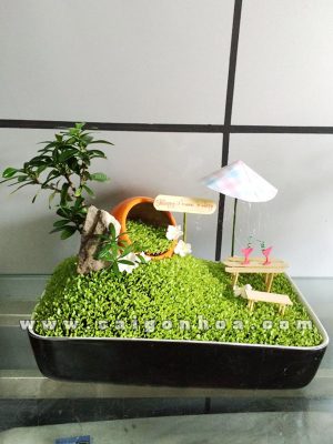 Tiểu Cảnh May Mắn Hẹn Hò