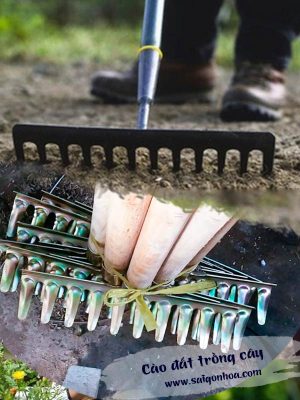 Cào Đất Trồng Cây