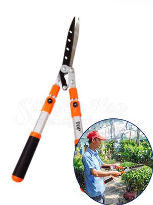 Kéo Cắt Tỉa Cây Cảnh