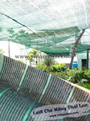 Lưới Che Nắng Thái Lan