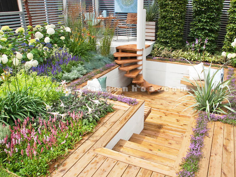 patio lang man voi mau tim