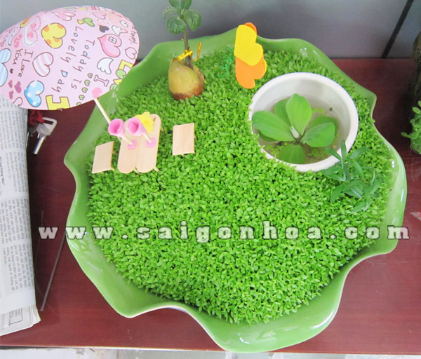 tieu canh may man ao thu 4