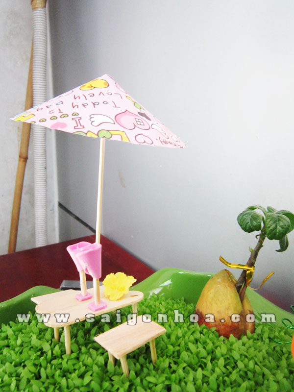 tieu canh may man ao thu 8
