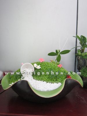 Tiểu Cảnh May Mắn Dòng Suối