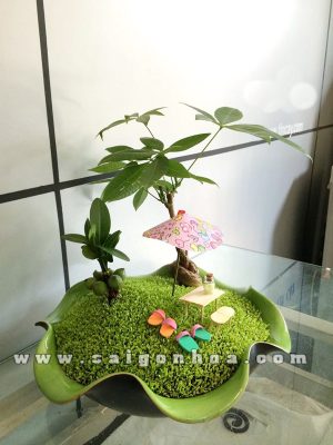 Tiểu Cảnh May Mắn Kim Ngân Chậu Lá Sen