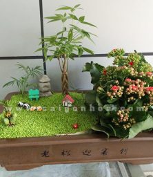 tieu canh may man song doi 15 1