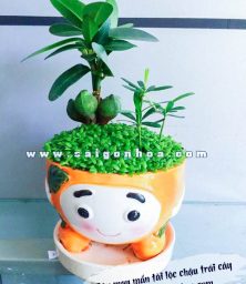 cay may man chau trai cay