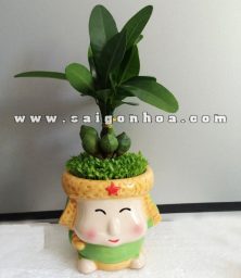 cay may man tai loc chau chu be 7