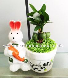 chau cay may man tai loc hinh con tho 1