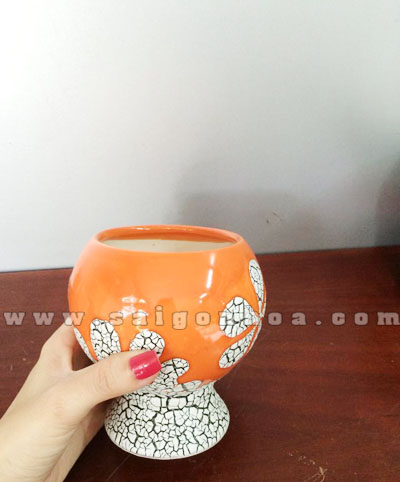 Chậu Sứ Chân Đế