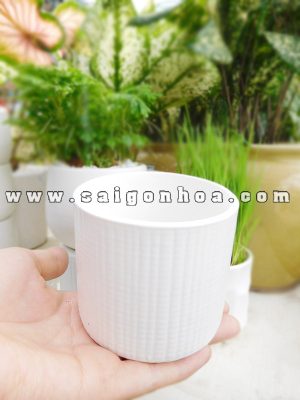 Chậu Gốm Sứ Mini Bát Tràng Xuất Khẩu Nhật