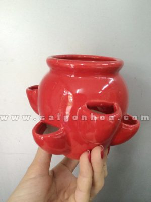 Chậu Sứ Nhỏ 6 Túi