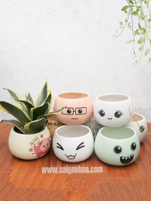 Chậu Trồng Cây Dáng Tròn Có Họa Tiết
