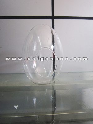 Chậu Thuỷ Tinh Hình Quả Trứng
