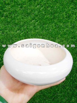 Chậu Tròn Dẹp Để Bàn Gốm Sứ Bát Tràng