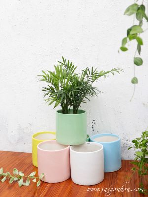 Chậu Trụ Trơn Men Sứ Cao Cấp Nhiều Màu