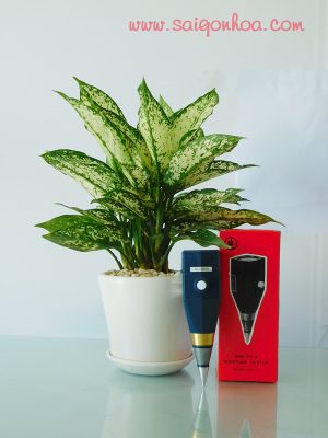 Máy Đo pH & Độ Ẩm Đất Takemura DM-15