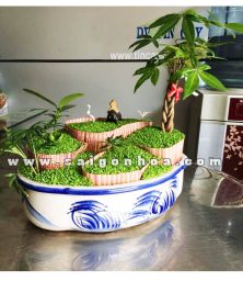 tieu canh cay may man dong que 1