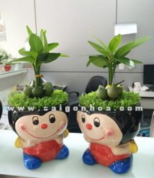 cap cay may man de ban chau con ong