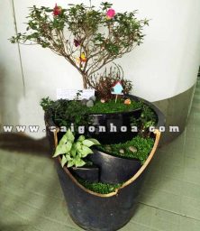 chau tieu canh may man con duong tinh yeu