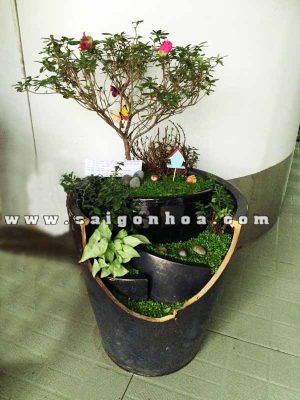 Tiểu Cảnh Cây May Mắn Con Đường Màu Xanh