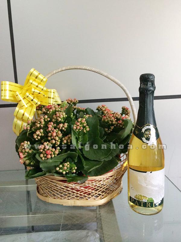 Giỏ Hoa Sống Đời Tết