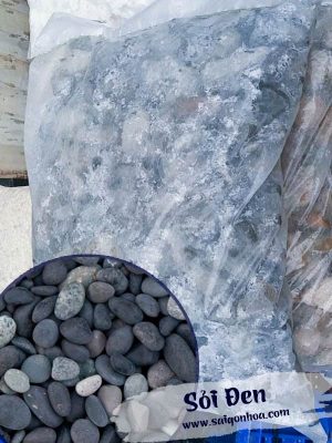 Sỏi Đen