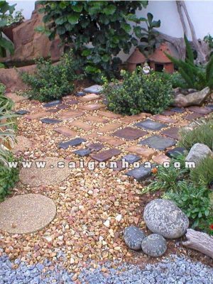 Sỏi Tạo Đường Đi