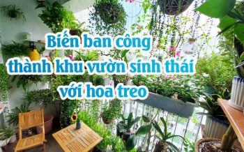 Bien Ban Cong Thanh Khu Vuon Sinh Thai 1